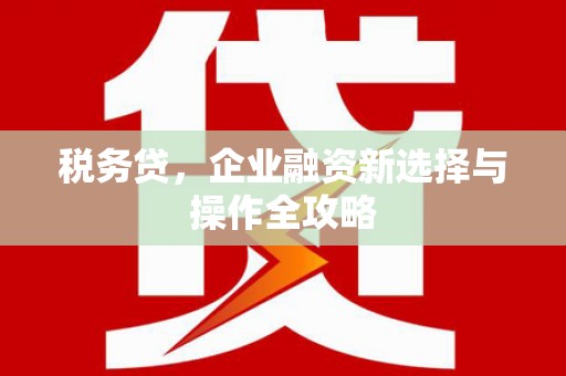 宝鸡税务贷，企业融资新选择与操作全攻略