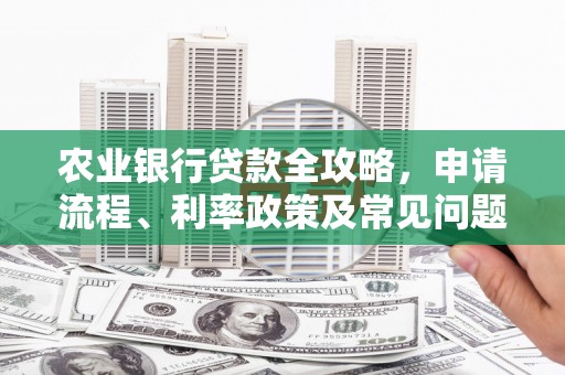 宝鸡农业银行贷款全攻略，申请流程、利率政策及常见问题解析