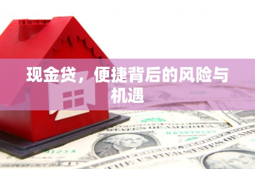 宝鸡现金贷，便捷背后的风险与机遇