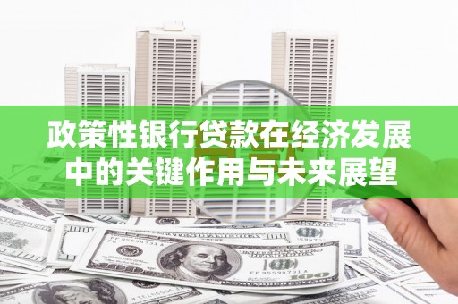 宝鸡政策性银行贷款在经济发展中的关键作用与未来展望