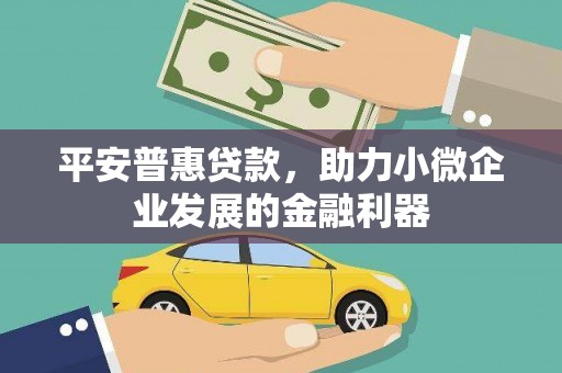 宝鸡平安普惠贷款，助力小微企业发展的金融利器