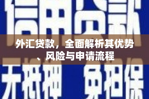 宝鸡外汇贷款，全面解析其优势、风险与申请流程