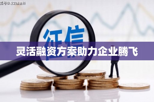宝鸡灵活融资方案助力企业腾飞