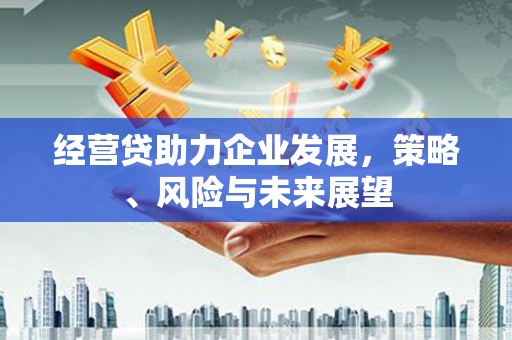 宝鸡经营贷助力企业发展，策略、风险与未来展望