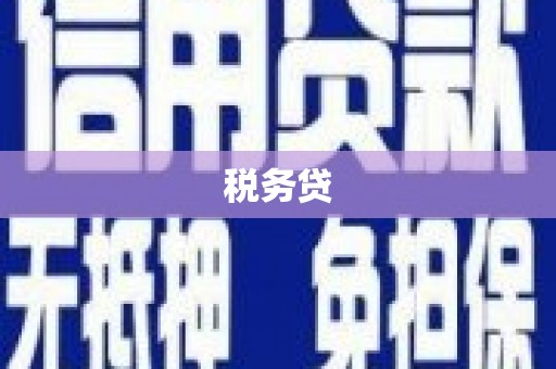 宝鸡税务贷