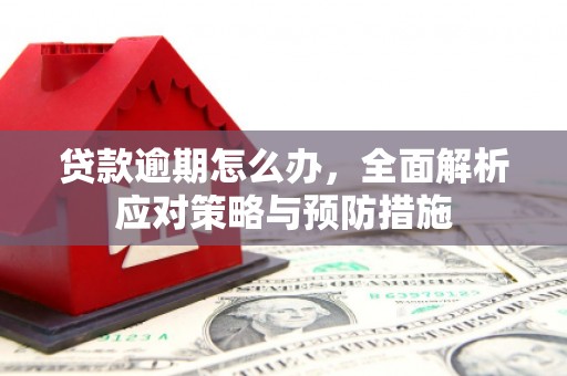 宝鸡贷款逾期怎么办，全面解析应对策略与预防措施