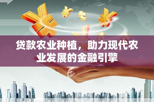 宝鸡贷款农业种植，助力现代农业发展的金融引擎
