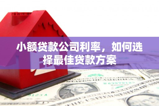宝鸡小额贷款公司利率，如何选择最佳贷款方案