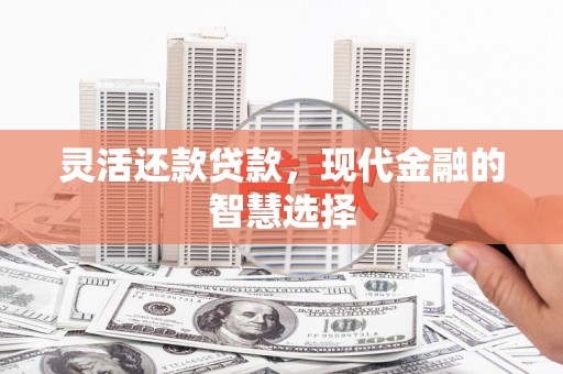 宝鸡灵活还款贷款，现代金融的智慧选择