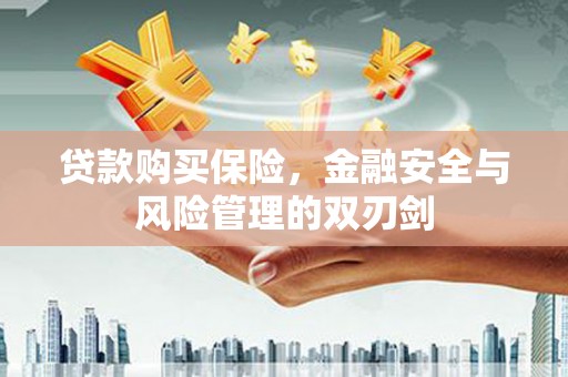 宝鸡贷款购买保险，金融安全与风险管理的双刃剑
