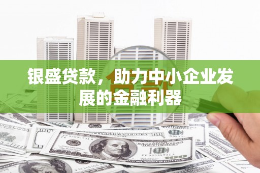 宝鸡银盛贷款，助力中小企业发展的金融利器