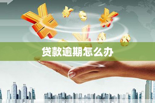 宝鸡贷款逾期怎么办