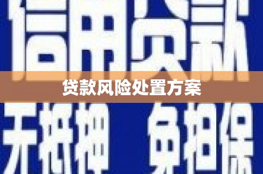 宝鸡贷款风险处置方案