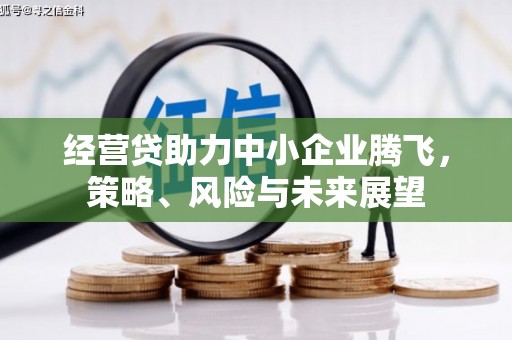 宝鸡经营贷助力中小企业腾飞，策略、风险与未来展望