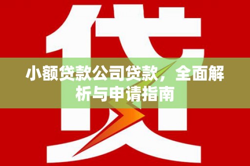 宝鸡小额贷款公司贷款，全面解析与申请指南