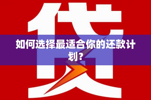 宝鸡如何选择最适合你的还款计划？