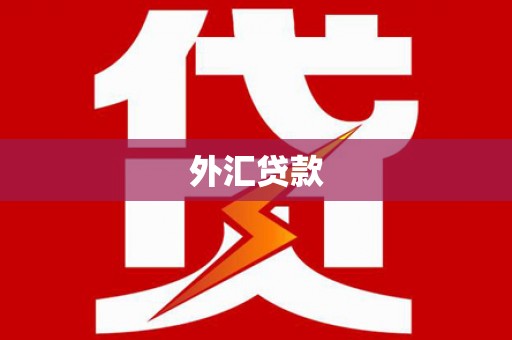宝鸡外汇贷款