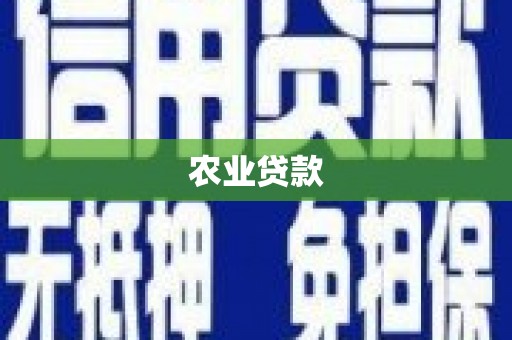 宝鸡农业贷款