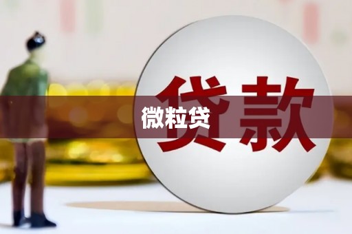 宝鸡微粒贷