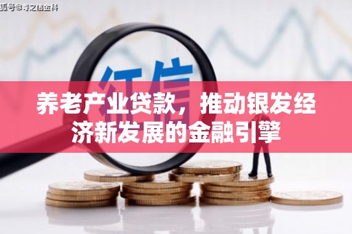 宝鸡养老产业贷款，推动银发经济新发展的金融引擎