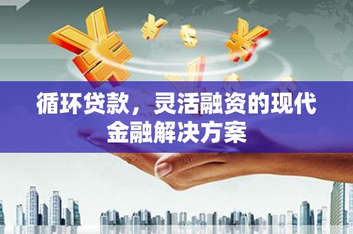 宝鸡循环贷款，灵活融资的现代金融解决方案