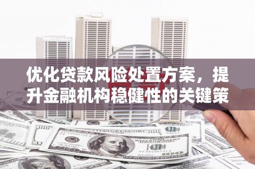 宝鸡优化贷款风险处置方案，提升金融机构稳健性的关键策略