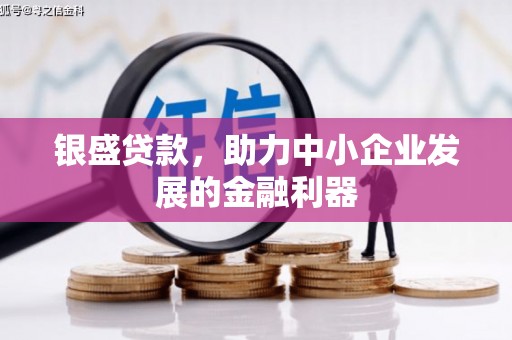 宝鸡银盛贷款，助力中小企业发展的金融利器