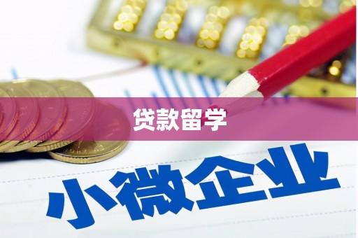 宝鸡贷款留学
