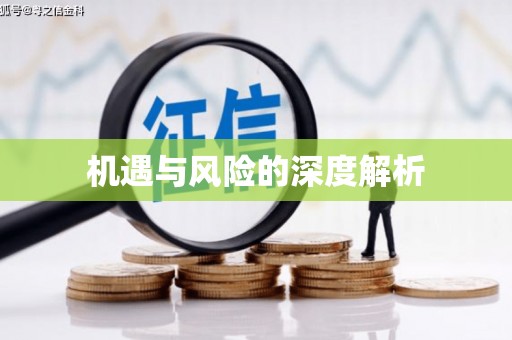 宝鸡机遇与风险的深度解析