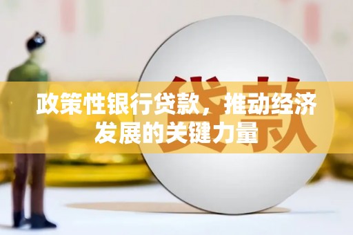 宝鸡政策性银行贷款，推动经济发展的关键力量