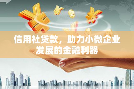 宝鸡信用社贷款，助力小微企业发展的金融利器
