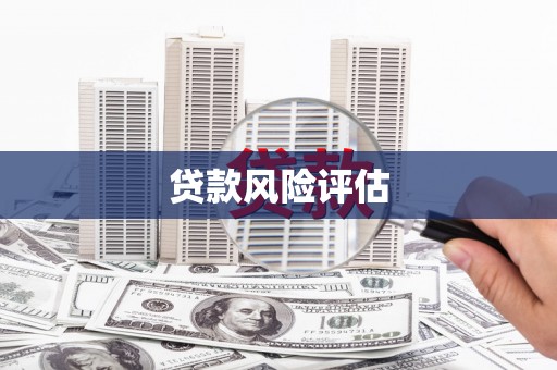 宝鸡贷款风险评估