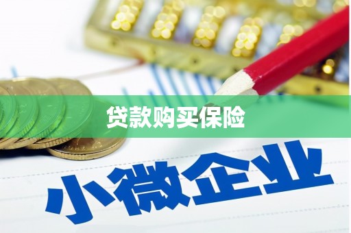 宝鸡贷款购买保险