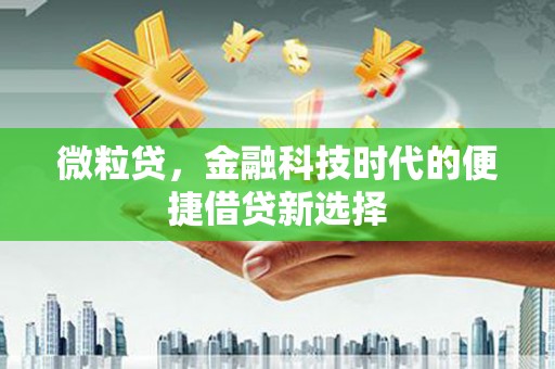 宝鸡微粒贷，金融科技时代的便捷借贷新选择