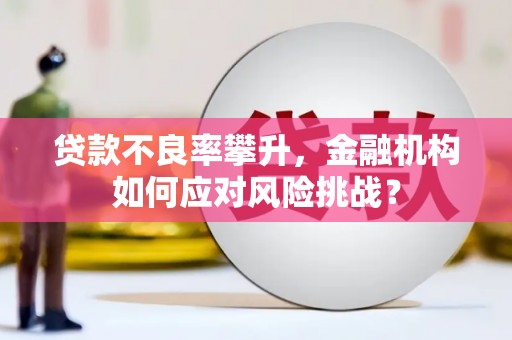 宝鸡贷款不良率攀升，金融机构如何应对风险挑战？