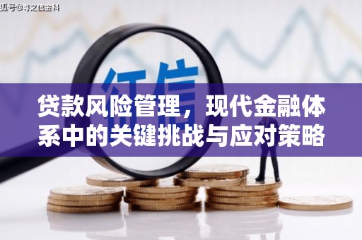 宝鸡贷款风险管理，现代金融体系中的关键挑战与应对策略