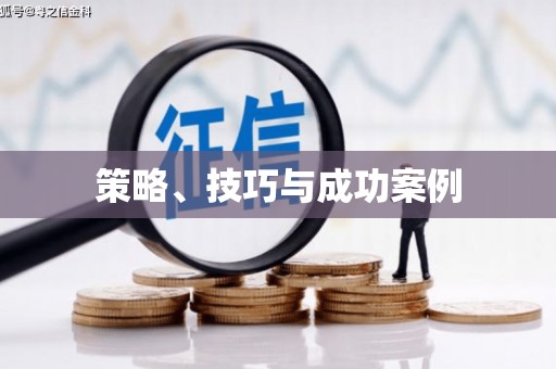 宝鸡策略、技巧与成功案例