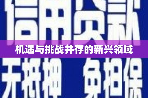 宝鸡机遇与挑战并存的新兴领域